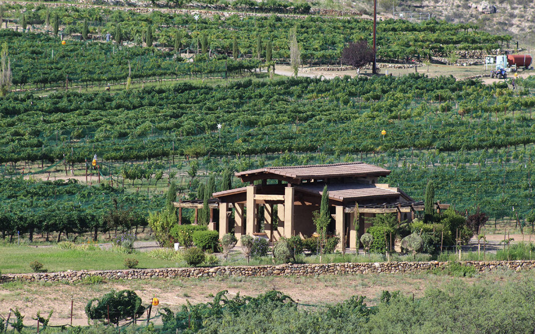 Alcantara Vineyards and Winery