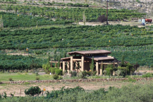 Alcantara Vineyards and Winery